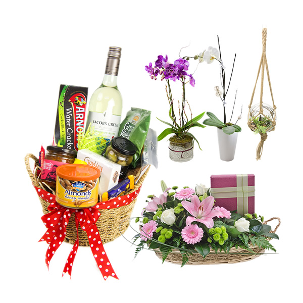Baskets, Hampers and Plants