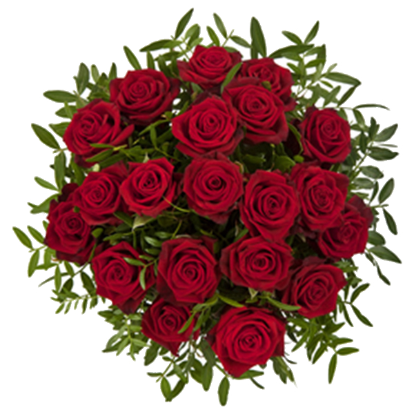 Flowers - Stunning 24 Roses
